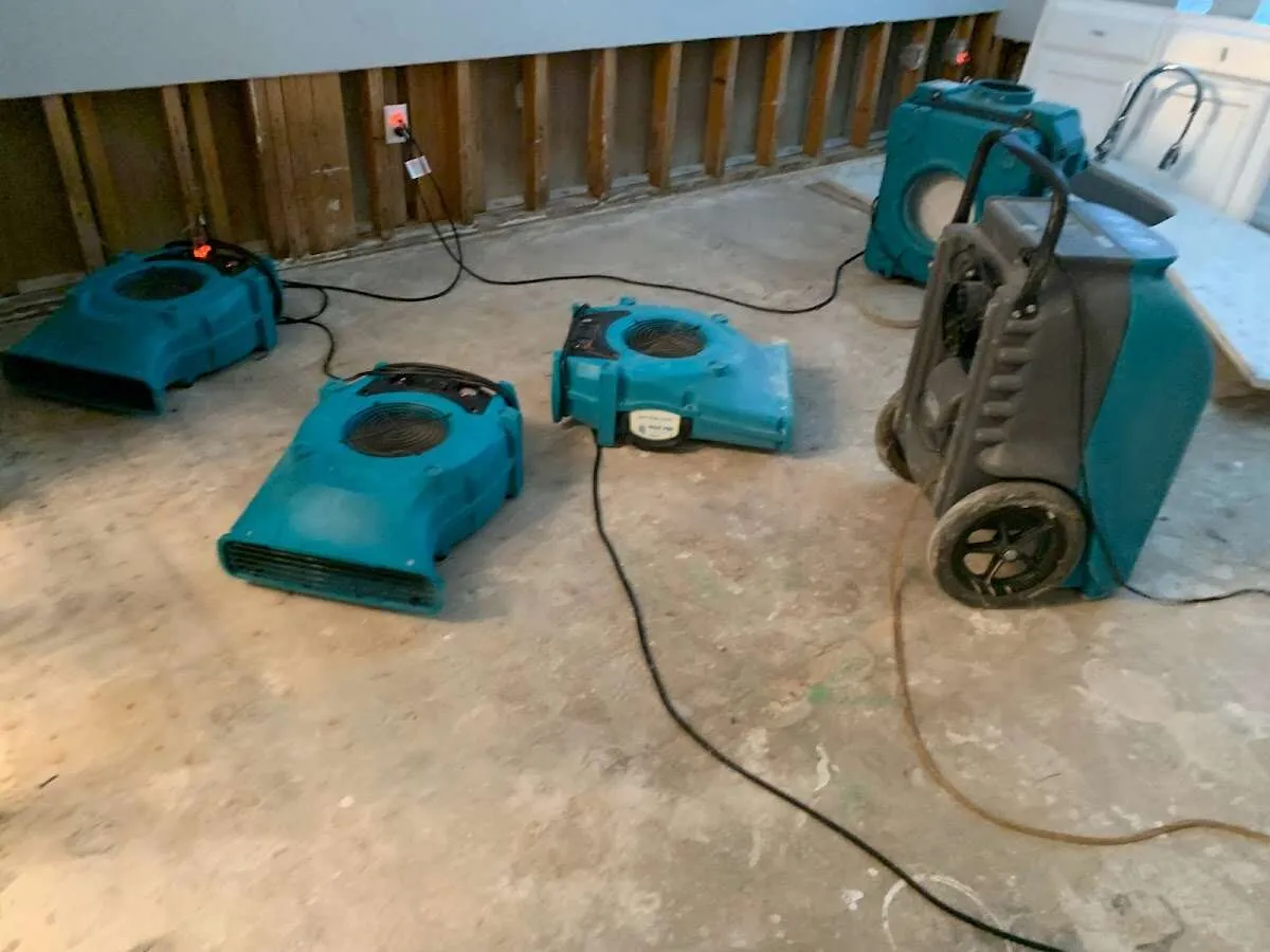 Water Damage Restoration services in Lisle, IL